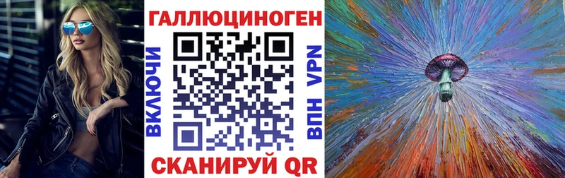 сколько стоит  Нурлат  Галлюциногенные грибы Psilocybe 