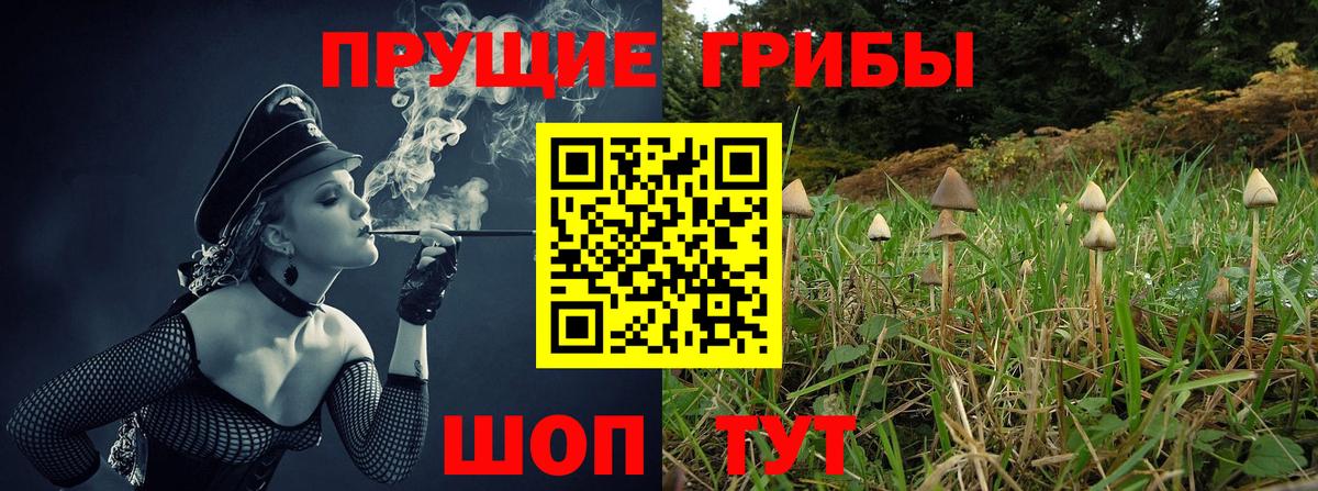Псилоцибиновые грибы Psilocybe  Вход с VPN  цены   Нурлат 